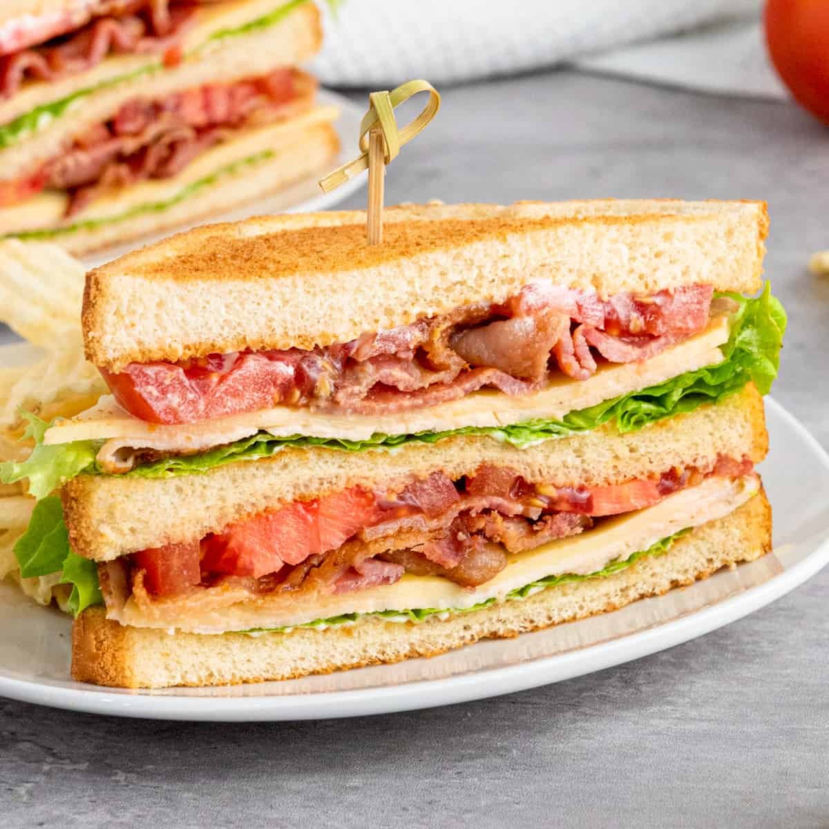 Chicken Cheese Club Sandwich